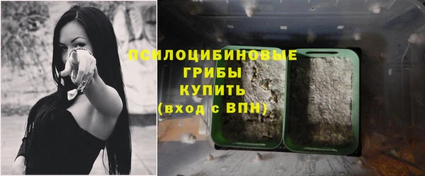 первитин Осташков