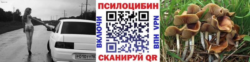 Псилоцибиновые грибы Cubensis  blacksprut ONION  Мосальск  где купить наркоту 